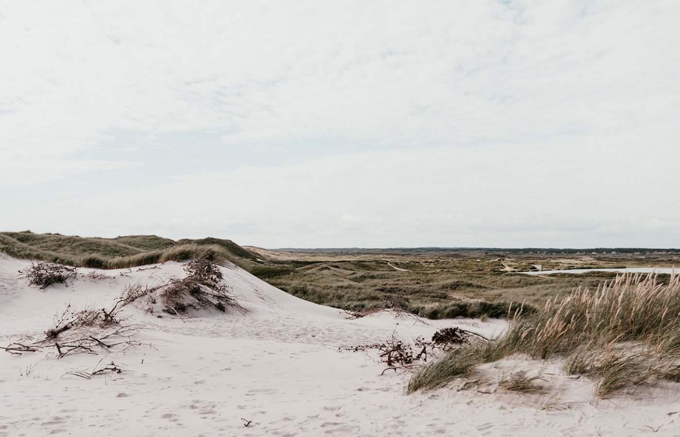 Danish beach sand