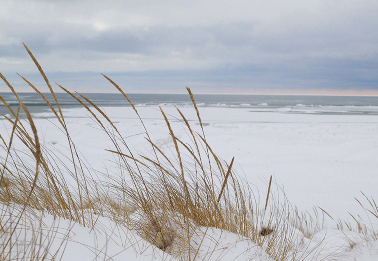 Danish beach