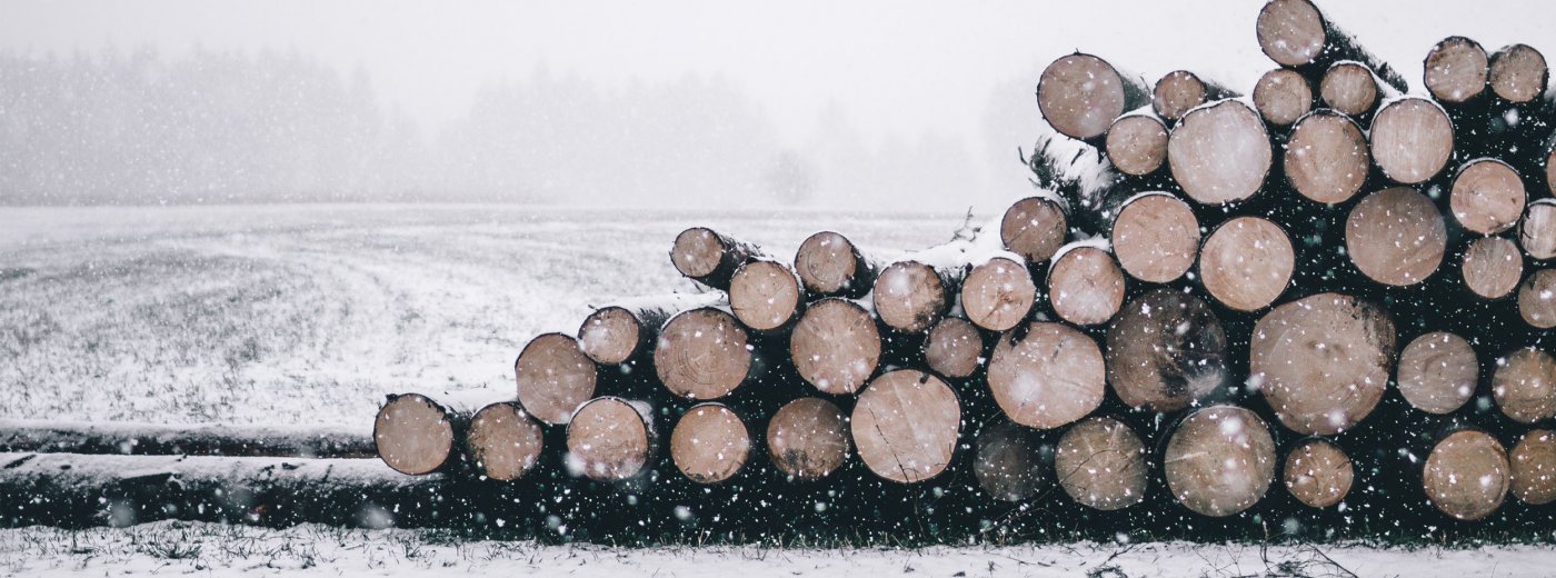 winter logs